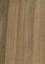 Nut wood veneer texture