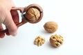 Nutcracker held in male hand and crack a walnut isolated on a white background.