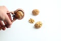 Nutcracker held in male hand and crack a walnut isolated on a white background. Royalty Free Stock Photo