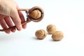 Nutcracker held in male hand and crack a walnut isolated on a white background.