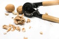 Nutcracker, walnut kernel peeled and whole nutshells, on a white background Royalty Free Stock Photo