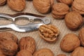Nutcracker with Walnuts