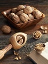 Nutcracker and walnuts Royalty Free Stock Photo