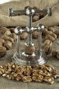 Nutcracker walnuts Royalty Free Stock Photo