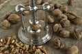 Nutcracker walnuts Royalty Free Stock Photo
