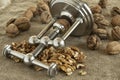 nutcracker walnuts
