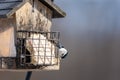 Nuthatch Eating Suet from Eating Royalty Free Stock Photo