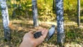 Nuthatch Sitta europea is sitting on the hand, Tomsk.