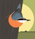 Nuthatch on the trunk of a tree Royalty Free Stock Photo