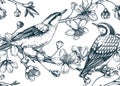 Nuthatches on cherry blossom sketch background in engraved style. Spring seamless pattern with contoured birds and sakura drawing Royalty Free Stock Photo