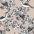 Nuthatchs sitting on flowering almond branch design. Vector spring seamless pattern. Hand drawn passerine birds on blooming tree