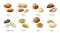 Nuts, in shell and opened kernels collection Royalty Free Stock Photo