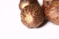 Nutmeg Royalty Free Stock Photo