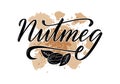 Nutmeg black word with drawn graphics on watercolor background