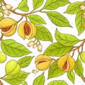 Nutmeg branch vector pattern