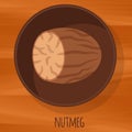 Nutmeg flat design vector icon.