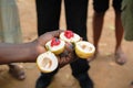 Nutmeg fruit shown on the Spice tour in rural Zanzibar, Africa