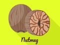 Nutmeg icon, flat style