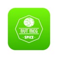 Nutmeg icon green vector