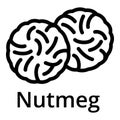 Nutmeg icon, outline style