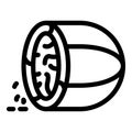 Nutmeg icon, outline style