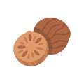 Nutmeg Icon for Spice Lovers Royalty Free Stock Photo