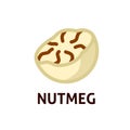 Nutmeg icon fresh food