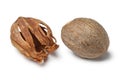 Nutmeg kernel and mace Royalty Free Stock Photo
