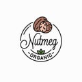 Nutmeg nut logo. Round linear of nutmeg on white