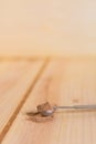 Nutmeg powder in measuring spoon close up with wooden neutral background Royalty Free Stock Photo