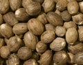 Nutmeg Royalty Free Stock Photo