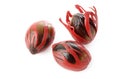 Nutmeg seeds Royalty Free Stock Photo