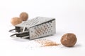 Nutmegs and grater Royalty Free Stock Photo