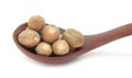 Nutmegs in wooden spoon Royalty Free Stock Photo
