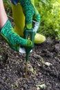 Nutrients soil meter. Measure soil for nitrogen content with digital device. Woman farmer in a garden