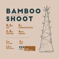 Nutrition fact of bamboo shoot, hand draw sketch vector