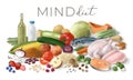 Nutrition concept for MIND diet. Assortment of healthy food ingredients for cooking. Hand drawn illustration.