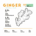 Nutrition fact of ginger, hand draw sketch vector