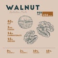 Nutrition fact of walnut illustration of hands, retro style, vector Royalty Free Stock Photo