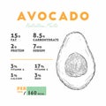 Nutrition facts of avocado, hand draw vector Royalty Free Stock Photo