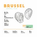 Nutrition facts of brussel, hand draw vector