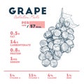 Nutrition facts of grape, hand draw sketch vector Royalty Free Stock Photo