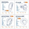 Nutrition facts of mussel, clam, oyster and scallop hand draw sketch vector