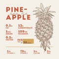 Nutrition facts of pineapple, hand draw sketch vector Royalty Free Stock Photo