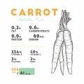 Nutrition facts of raw carrot Royalty Free Stock Photo