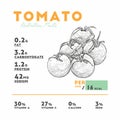 Nutrition facts of raw tomato vector Royalty Free Stock Photo