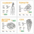 Nutrition facts of vegetable set. carrot, cos, tomato and butter