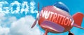 Nutrition helps achieve a goal - pictured as word Nutrition in clouds, to symbolize that Nutrition can help achieving goal in life