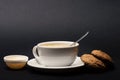 Nutrition and hot beverage concept. Oatmeal biscuits Royalty Free Stock Photo