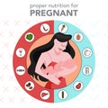 Nutrition infographics for pregnant woman. Healthy diet for baby.